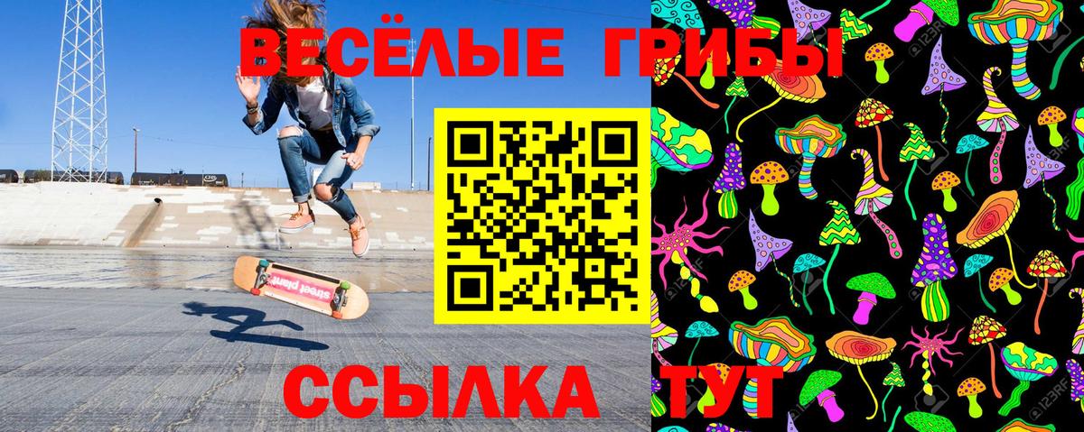 Псилоцибиновые грибы GOLDEN TEACHER  Галлюциногенные грибы GOLDEN TEACHER  Вход с VPN  Южноуральск 