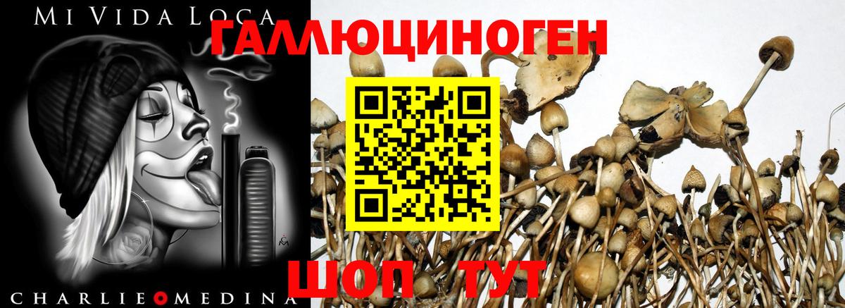 Галлюциногенные грибы GOLDEN TEACHER Южноуральск